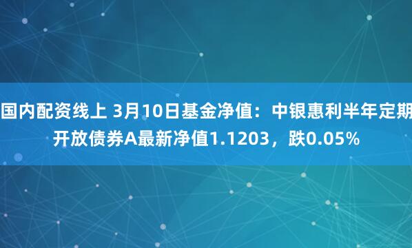 国内配资线上 3月10日基金净值：中银惠利半年定期开放债券A最新净值1.1203，跌0.05%