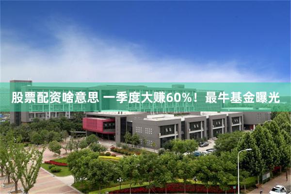 股票配资啥意思 一季度大赚60%！最牛基金曝光
