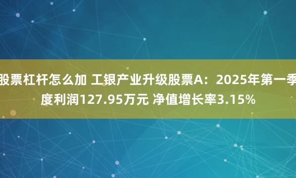 股票杠杆怎么加 工银产业升级股票A：2025年第一季度利润127.95万元 净值增长率3.15%