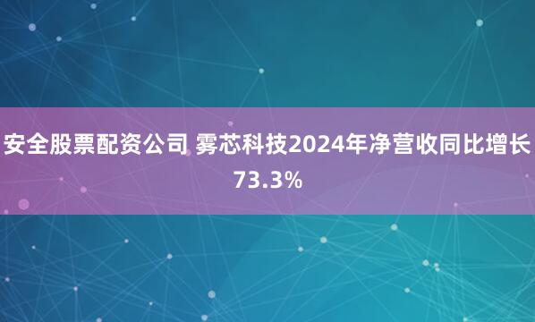 安全股票配资公司 雾芯科技2024年净营收同比增长73.3%