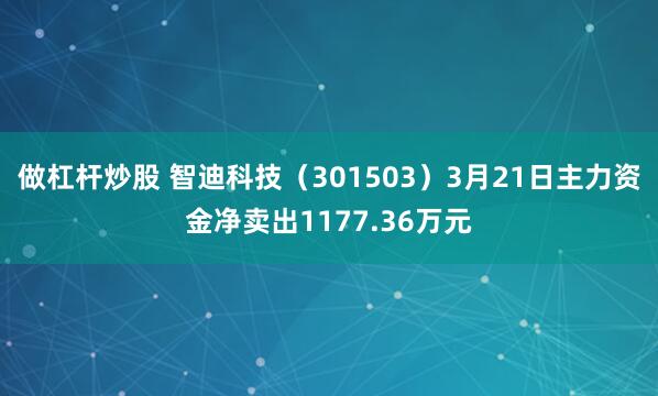 做杠杆炒股 智迪科技（301503）3月21日主力资金净卖出1177.36万元