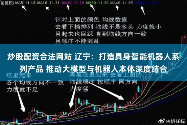 炒股配资合法网站 辽宁：打造具身智能机器人系列产品 推动大模型与机器人本体深度结合
