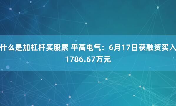 什么是加杠杆买股票 平高电气：6月17日获融资买入1786.67万元