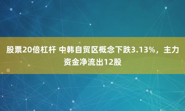 股票20倍杠杆 中韩自贸区概念下跌3.13%，主力资金净流出12股