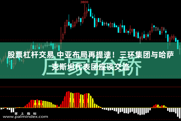 股票杠杆交易 中亚布局再提速！三环集团与哈萨克斯坦代表团座谈交流