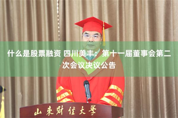 什么是股票融资 四川美丰：第十一届董事会第二次会议决议公告