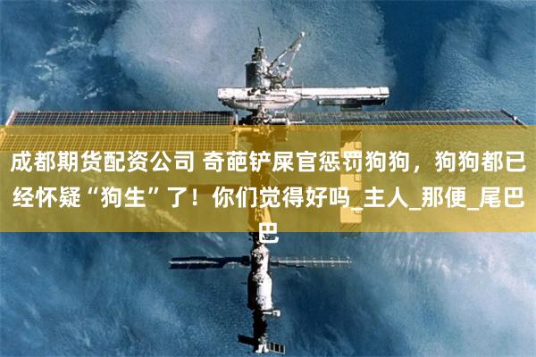 成都期货配资公司 奇葩铲屎官惩罚狗狗，狗狗都已经怀疑“狗生”了！你们觉得好吗_主人_那便_尾巴