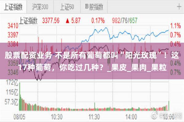 股票配资业务 不是所有葡萄都叫“阳光玫瑰”！这17种葡萄，你吃过几种？_果皮_果肉_果粒