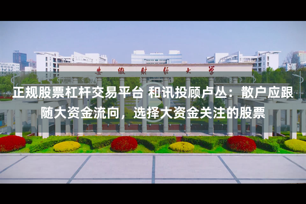 正规股票杠杆交易平台 和讯投顾卢丛：散户应跟随大资金流向，选择大资金关注的股票