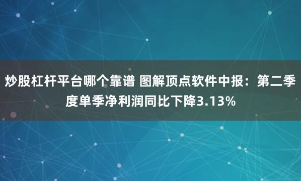 炒股杠杆平台哪个靠谱 图解顶点软件中报：第二季度单季净利润同比下降3.13%