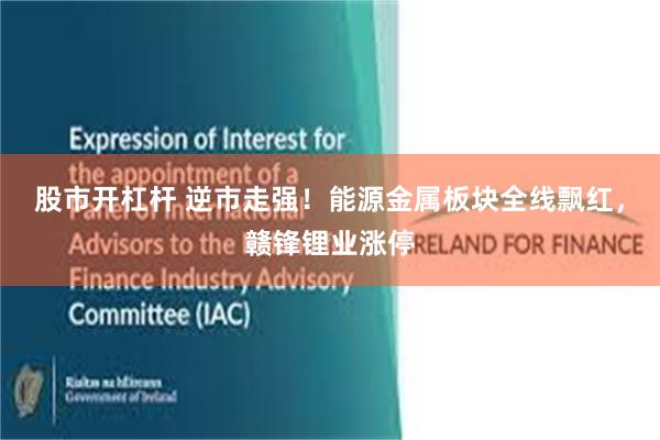 股市开杠杆 逆市走强!能源金属板块全线飘红,赣锋锂业涨停