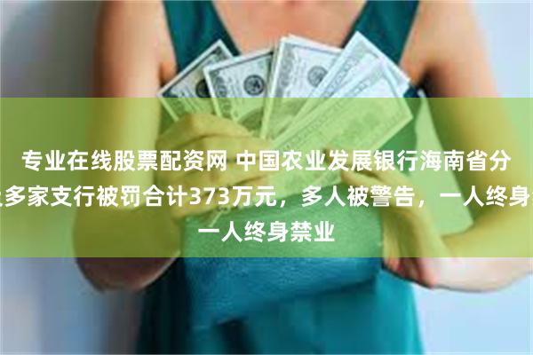 专业在线股票配资网 中国农业发展银行海南省分行及多家支行被罚合计373万元，多人被警告，一人终身禁业