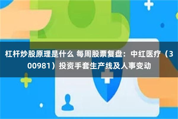 杠杆炒股原理是什么 每周股票复盘：中红医疗（300981）投资手套生产线及人事变动