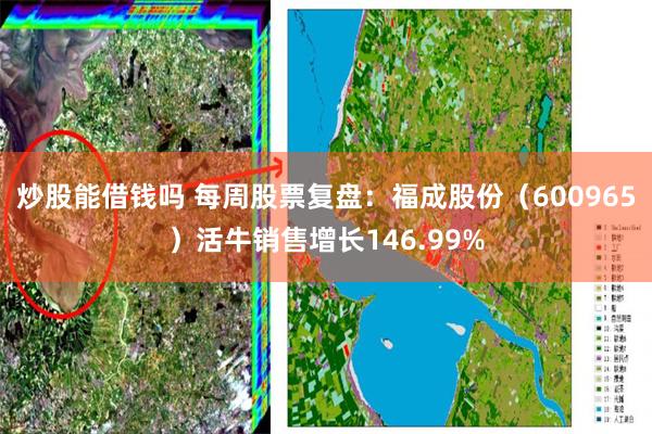 炒股能借钱吗 每周股票复盘：福成股份（600965）活牛销售增长146.99%