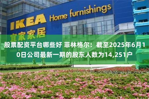 股票配资平台哪些好 菲林格尔：截至2025年6月10日公司最新一期的股东人数为14,251户