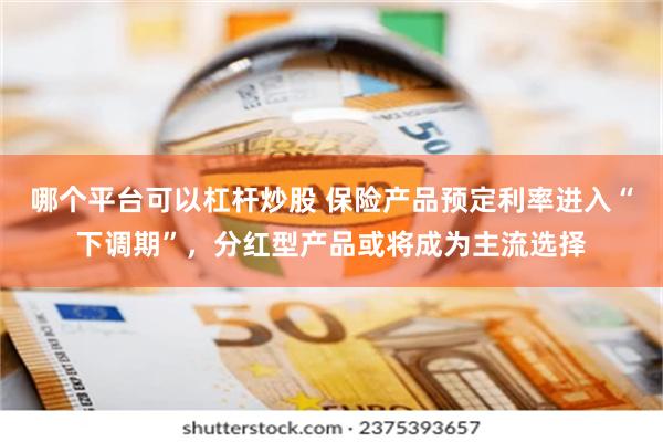 哪个平台可以杠杆炒股 保险产品预定利率进入“下调期”，分红型产品或将成为主流选择
