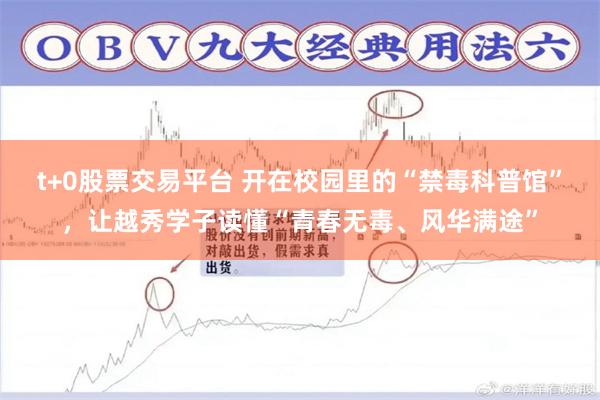 t+0股票交易平台 开在校园里的“禁毒科普馆”，让越秀学子读懂“青春无毒、风华满途”