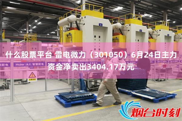 什么股票平台 雷电微力（301050）6月24日主力资金净卖出3404.17万元