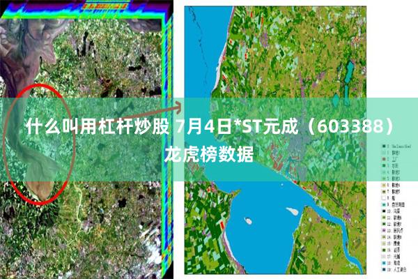 什么叫用杠杆炒股 7月4日*ST元成（603388）龙虎榜数据