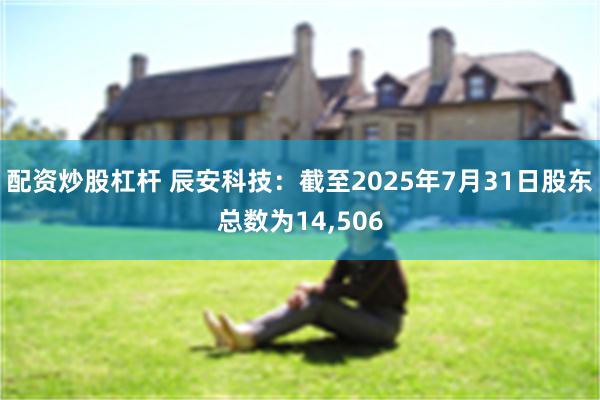配资炒股杠杆 辰安科技：截至2025年7月31日股东总数为14,506
