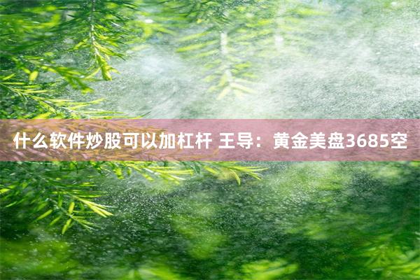 什么软件炒股可以加杠杆 王导：黄金美盘3685空