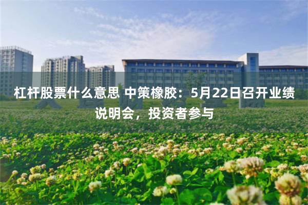 杠杆股票什么意思 中策橡胶：5月22日召开业绩说明会，投资者参与