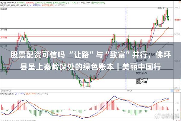 股票配资可信吗 “让路”与“致富”并行，佛坪县呈上秦岭深处的绿色账本｜美丽中国行