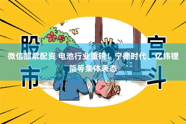 微信股票配资 电池行业重磅!宁德时代、亿纬锂能等集体表态