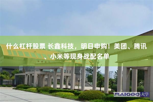 什么杠杆股票 长鑫科技，明日申购！美团、腾讯、小米等现身战配名单