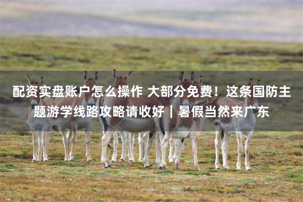 配资实盘账户怎么操作 大部分免费！这条国防主题游学线路攻略请收好｜暑假当然来广东