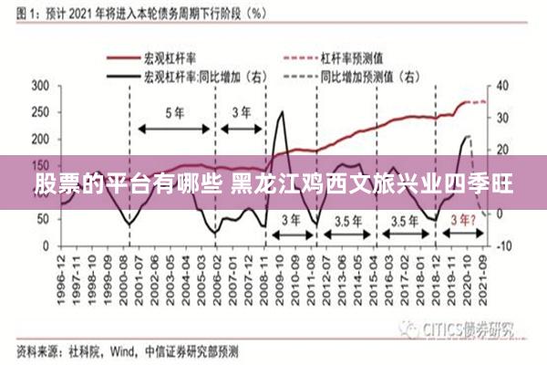 股票的平台有哪些 黑龙江鸡西文旅兴业四季旺