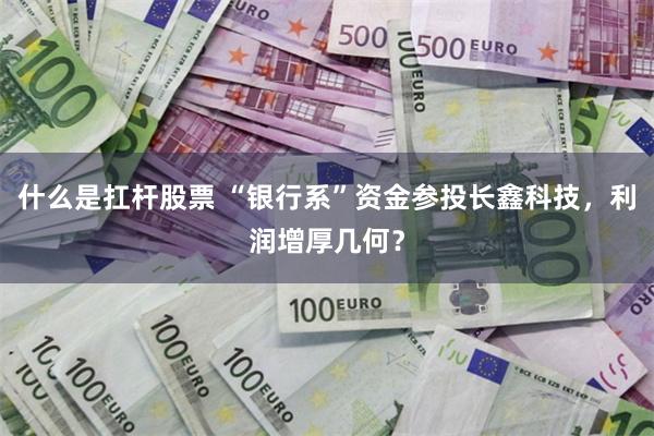 什么是扛杆股票 “银行系”资金参投长鑫科技，利润增厚几何？