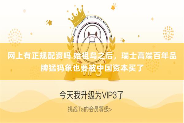 网上有正规配资吗 始祖鸟之后，瑞士高端百年品牌猛犸象也要被中国资本买了