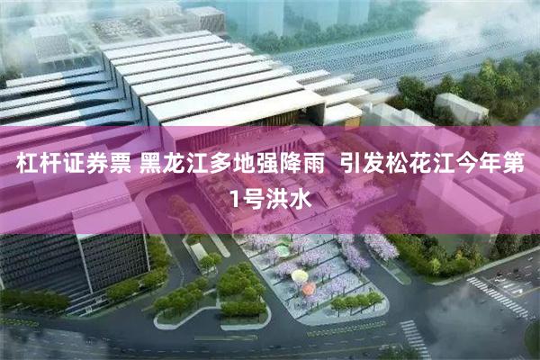杠杆证券票 黑龙江多地强降雨 引发松花江今年第1号洪水