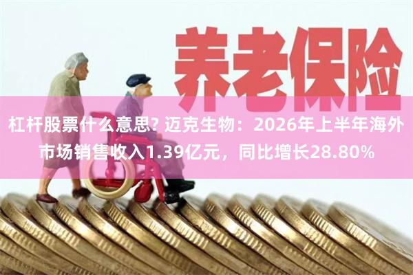 杠杆股票什么意思? 迈克生物：2026年上半年海外市场销售收入1.39亿元，同比增长28.80%