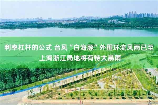 利率杠杆的公式 台风“白海豚”外围环流风雨已至 上海浙江局地将有特大暴雨