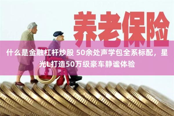 什么是金融杠杆炒股 50余处声学包全系标配，星光L打造50万级豪车静谧体验