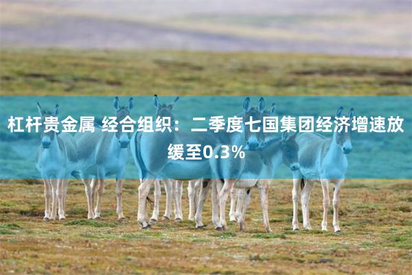 杠杆贵金属 经合组织：二季度七国集团经济增速放缓至0.3%