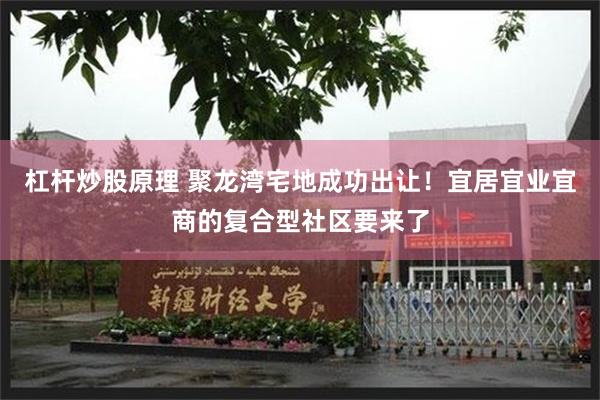 杠杆炒股原理 聚龙湾宅地成功出让！宜居宜业宜商的复合型社区要来了