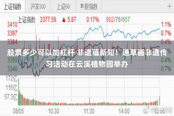 股票多少可以加杠杆 非遗蕴新知！通草画非遗传习活动在云溪植物园举办