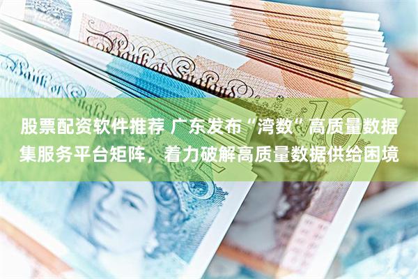 股票配资软件推荐 广东发布“湾数”高质量数据集服务平台矩阵，着力破解高质量数据供给困境