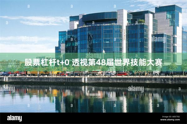 股票杠杆t+0 透视第48届世界技能大赛