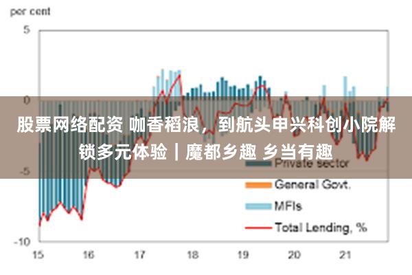 股票网络配资 咖香稻浪，到航头申兴科创小院解锁多元体验｜魔都乡趣 乡当有趣