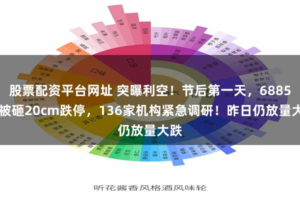 股票配资平台网址 突曝利空!节后第一天,688578被砸20cm跌停,136家机构紧急调研!昨日仍放量大跌