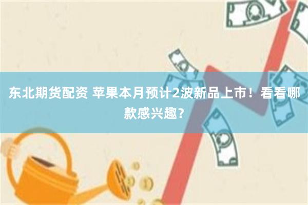 东北期货配资 苹果本月预计2波新品上市！看看哪款感兴趣？