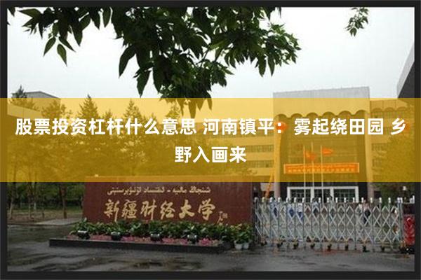 股票投资杠杆什么意思 河南镇平：雾起绕田园 乡野入画来